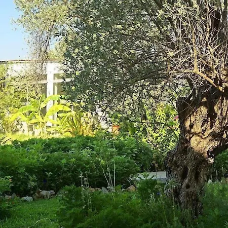 Saint George 3*