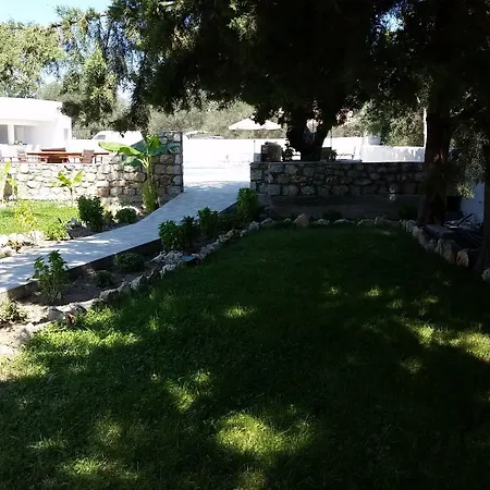 Saint George 酒店 阿彻奇洛斯