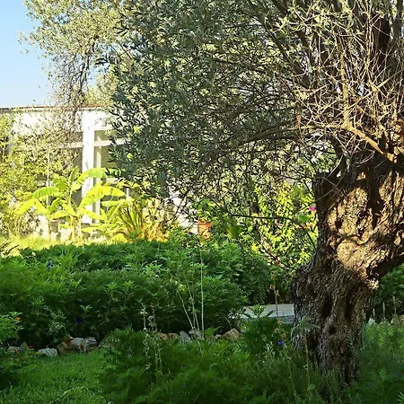 Szálloda Saint George 3*