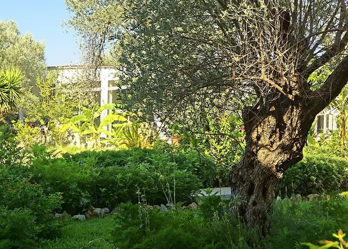 Szálloda Saint George 3*